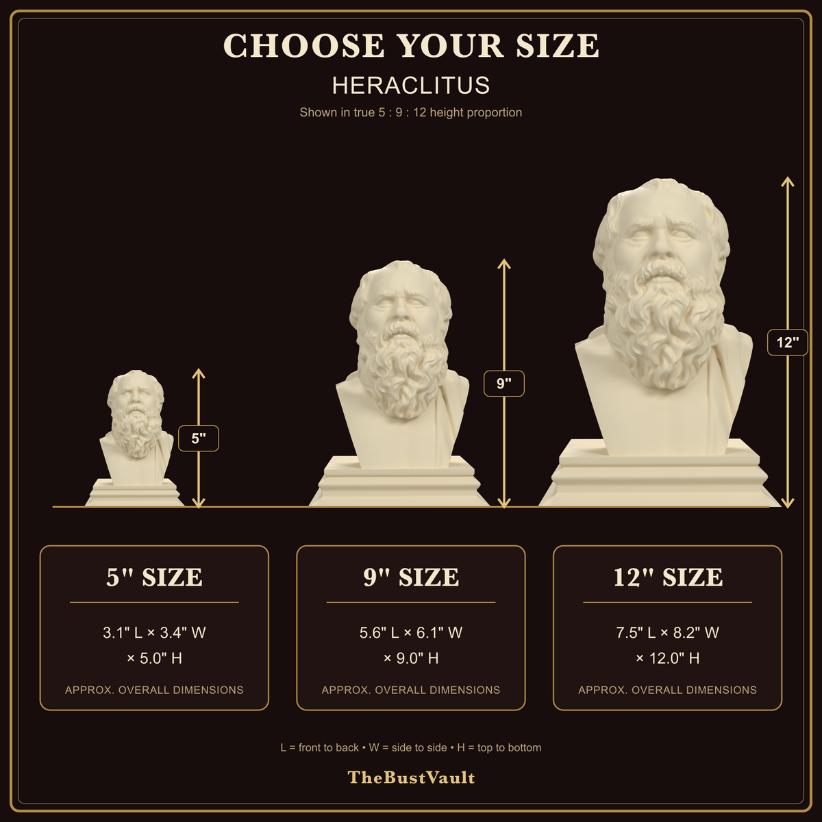 Heraclitus bust, size guide view