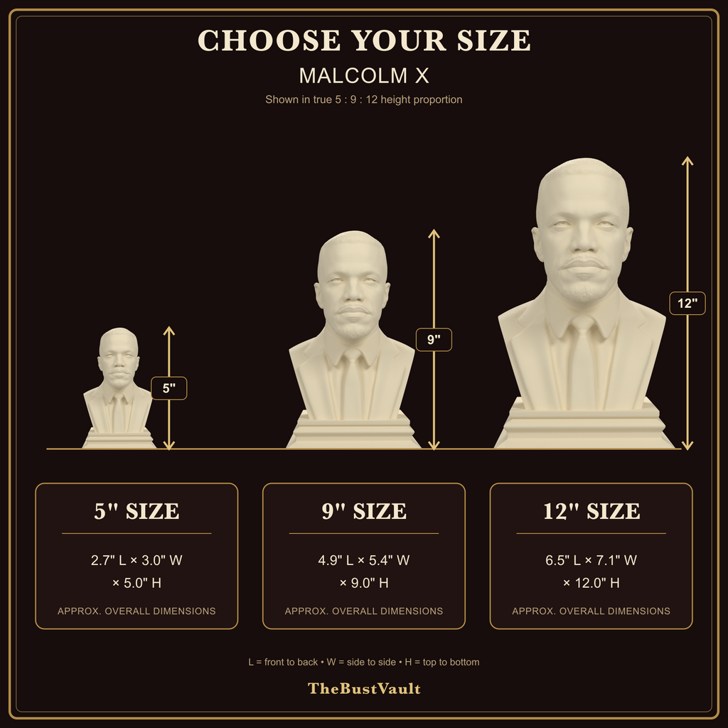 Malcolm X bust, size guide view