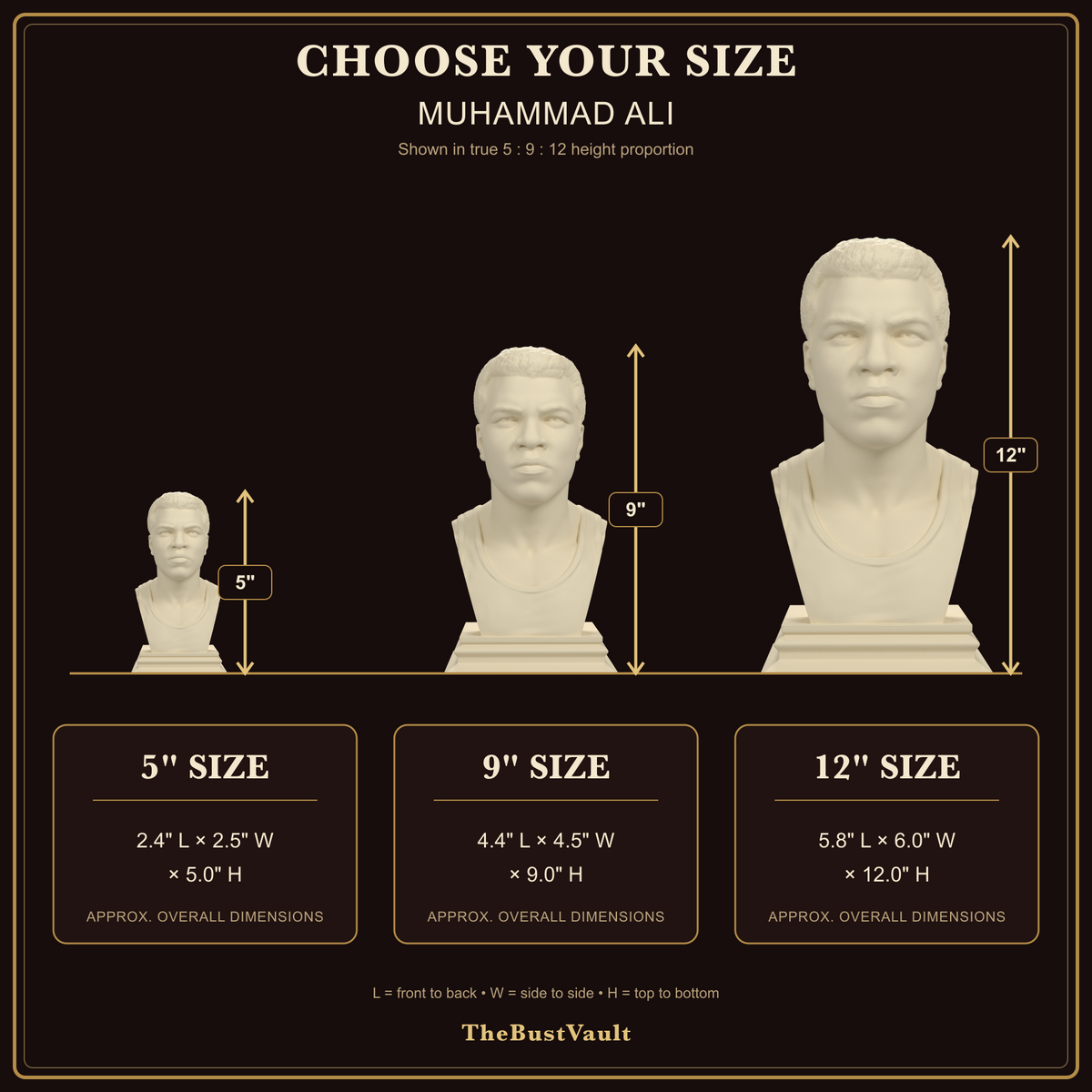 Muhammad Ali bust size guide