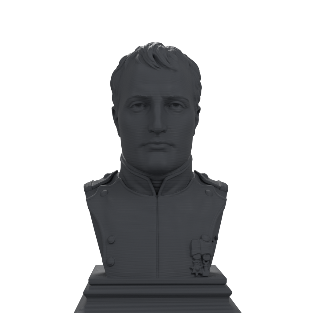 Napoleon Bonaparte bust, charcoal black view