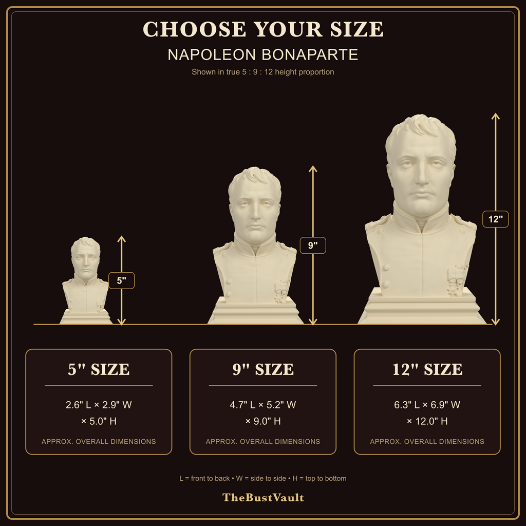 Napoleon Bonaparte bust, size guide view