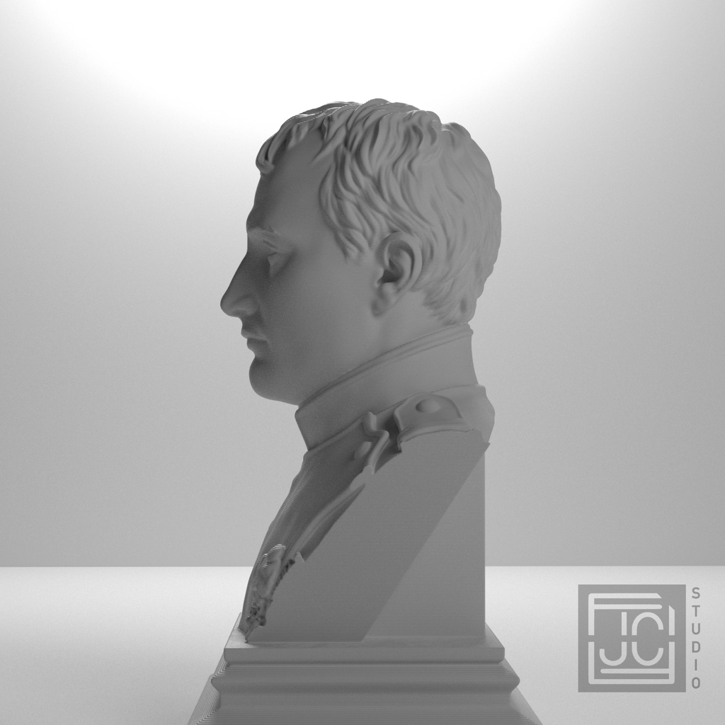 Napoleon Bonaparte bust, source_270 view
