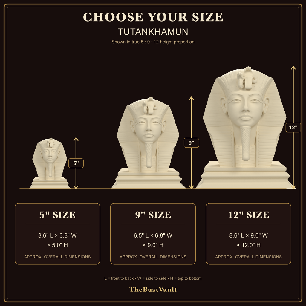 Tutankhamun bust, size guide view