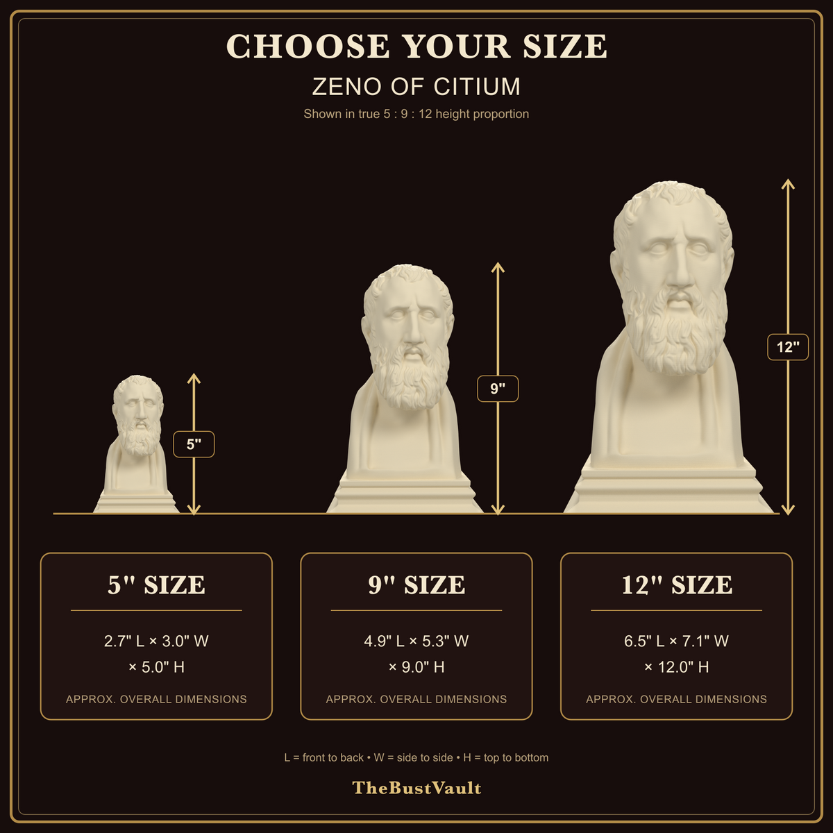 Zeno of Citium bust size guide