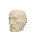 Santiago Ramón y Cajal Portrait Head, view 1
