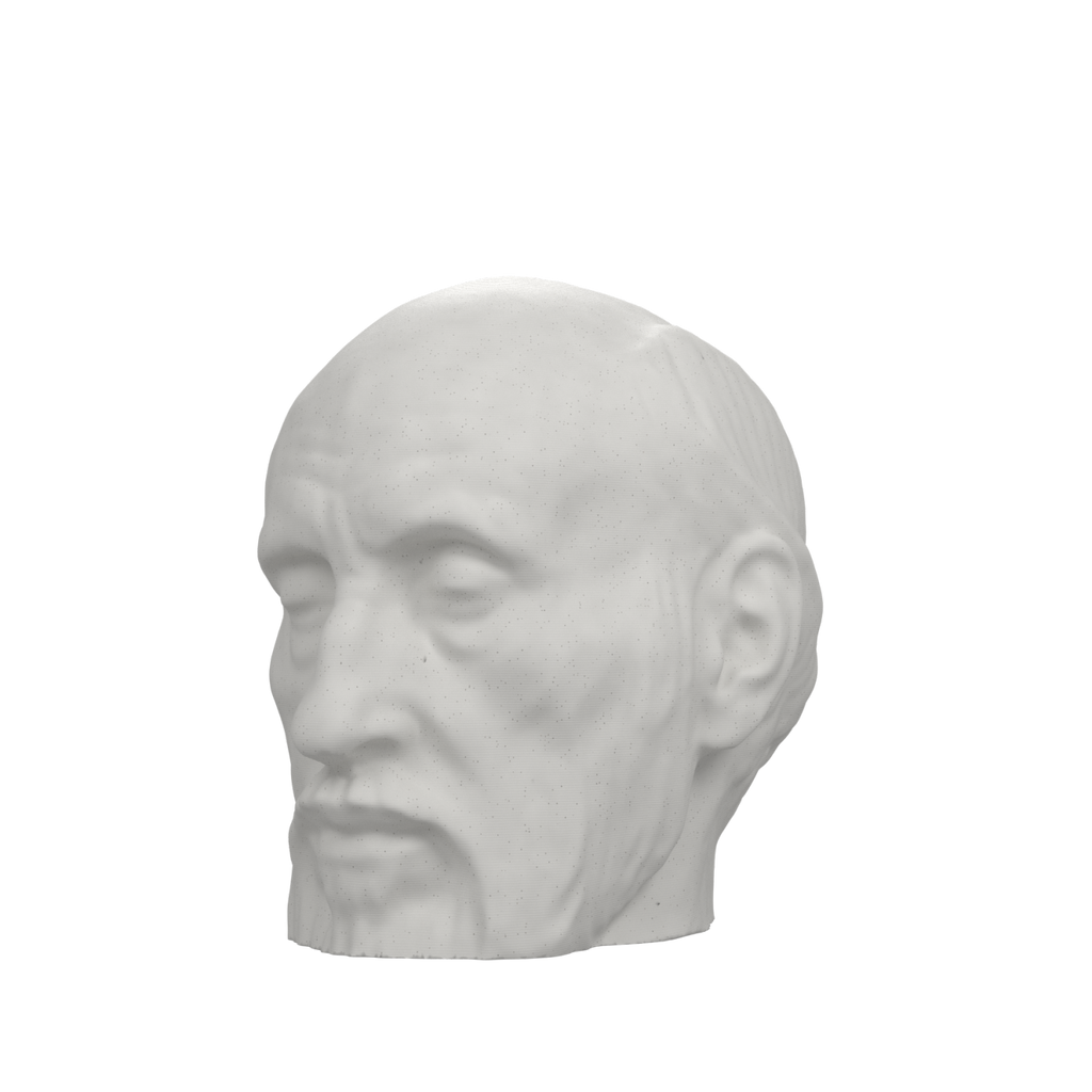 Santiago Ramón y Cajal Portrait Head, view 2