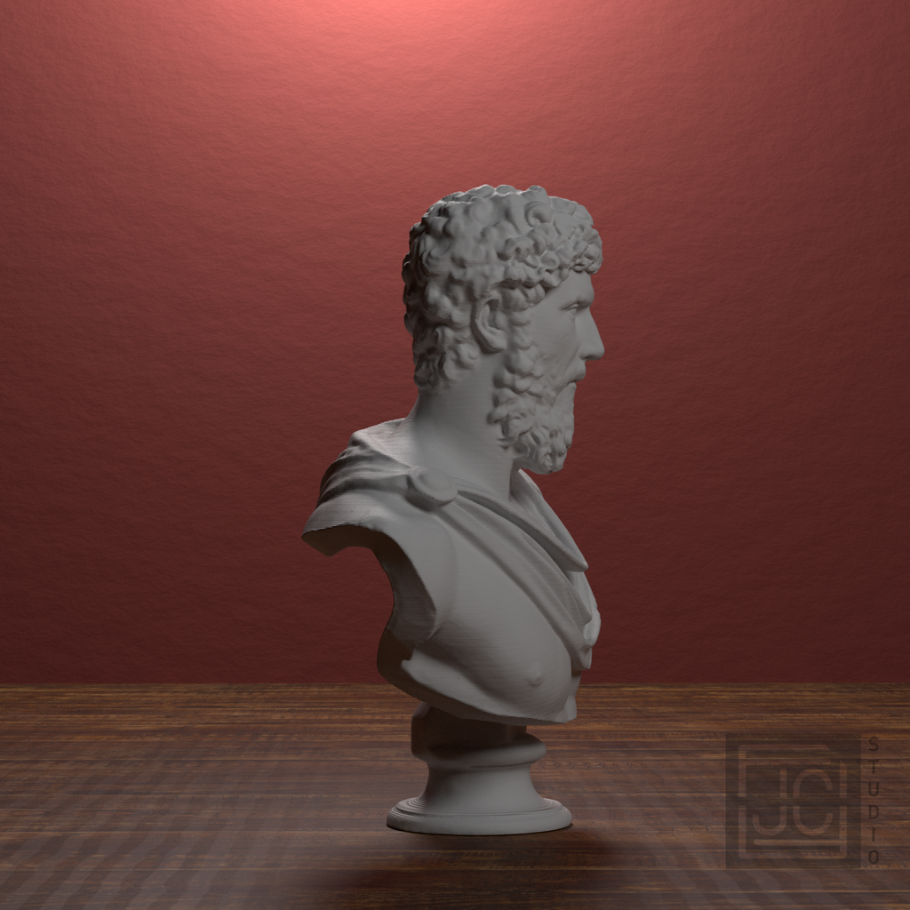 Aelius Verus bust, right side