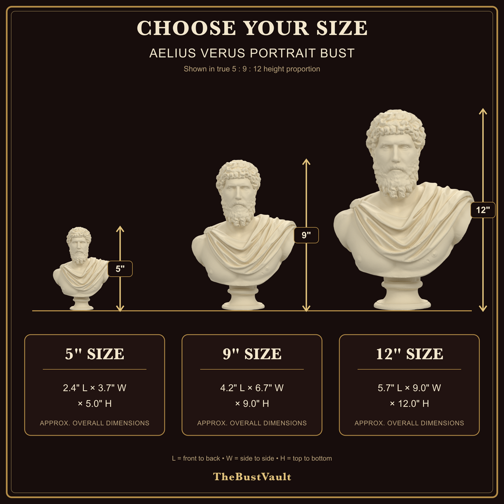 Aelius Verus bust size guide for 5, 9 and 12 inch heights