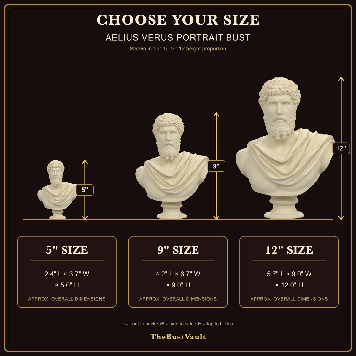 Aelius Verus bust size guide for 5, 9 and 12 inch heights