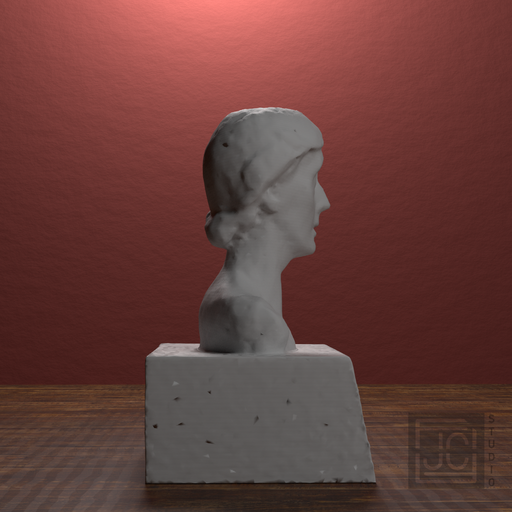 Virginia Woolf Bust after Stephen Tomlin, library 90 degree view