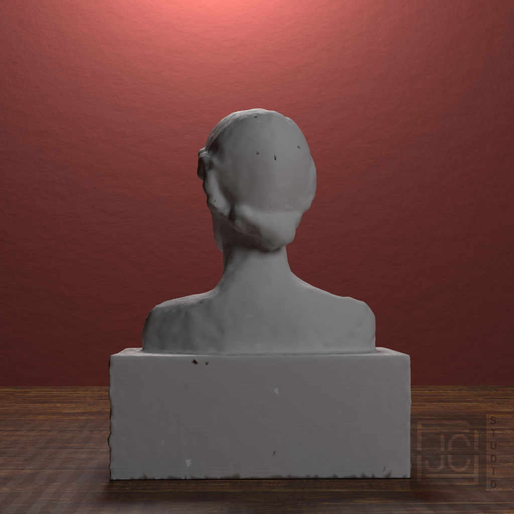 Virginia Woolf Bust after Stephen Tomlin, library 180 degree view