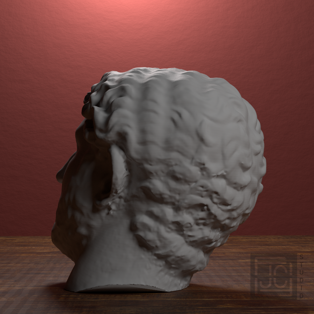 Emperor Hadrian Portrait Head, library 270 degree view