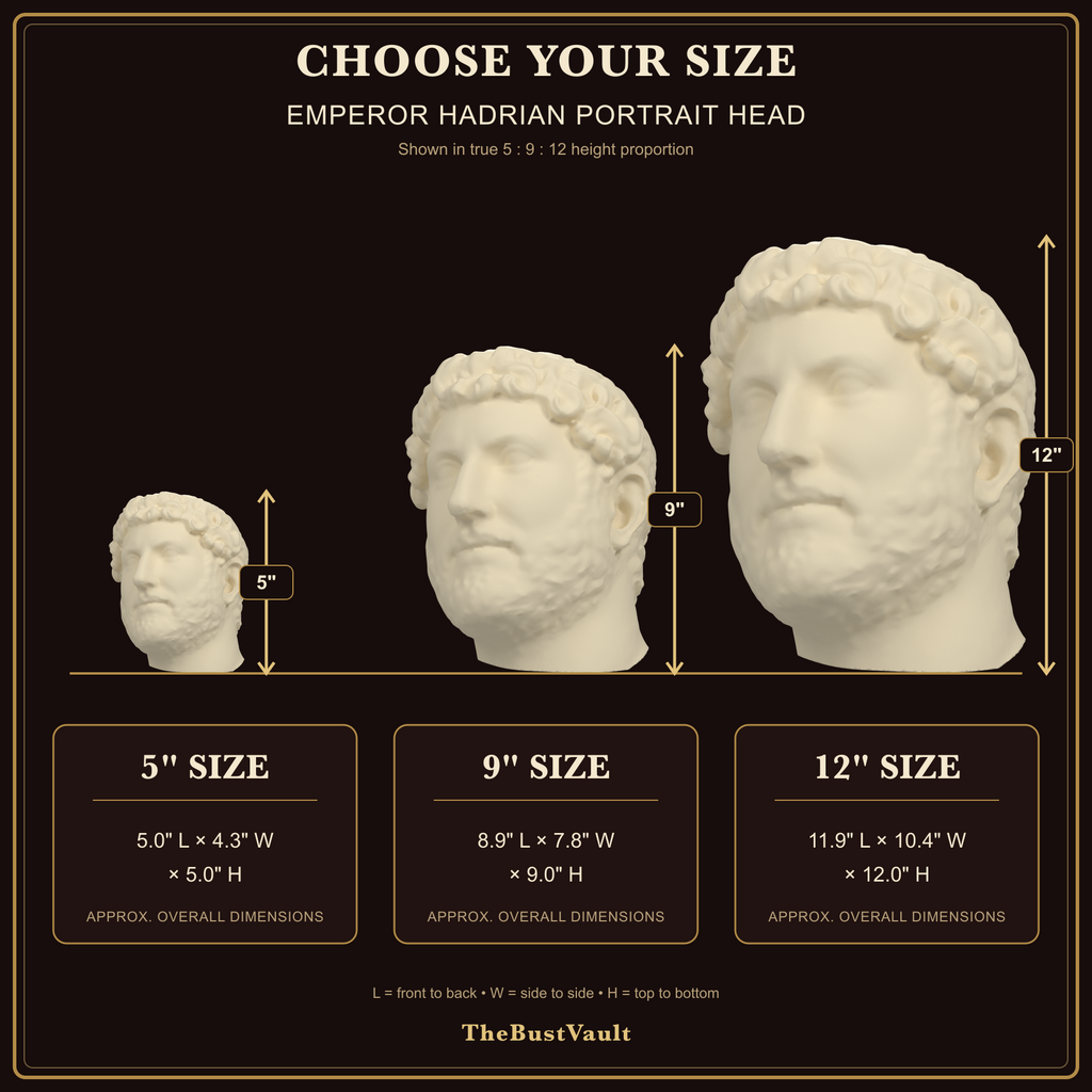 Emperor Hadrian Portrait Head, dimensions at 5, 9, and 12 inches