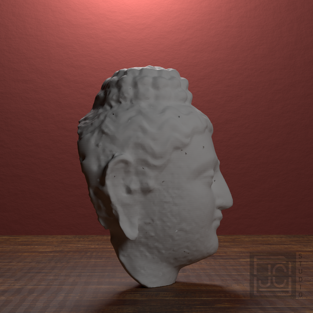 Gandhara Buddha Portrait Head, library 90 degree view