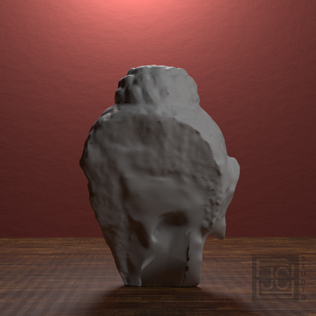 Gandhara Buddha Portrait Head, library 180 degree view