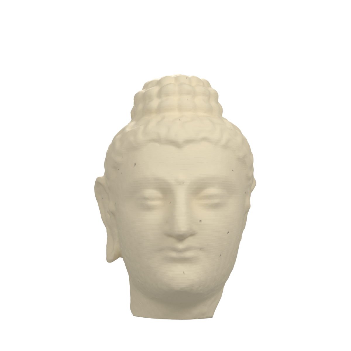 Gandhara Buddha Portrait Head, Ivory White finish