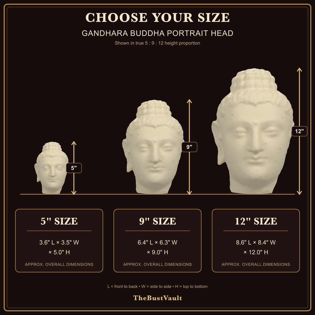 Gandhara Buddha Portrait Head, dimensions at 5, 9, and 12 inches