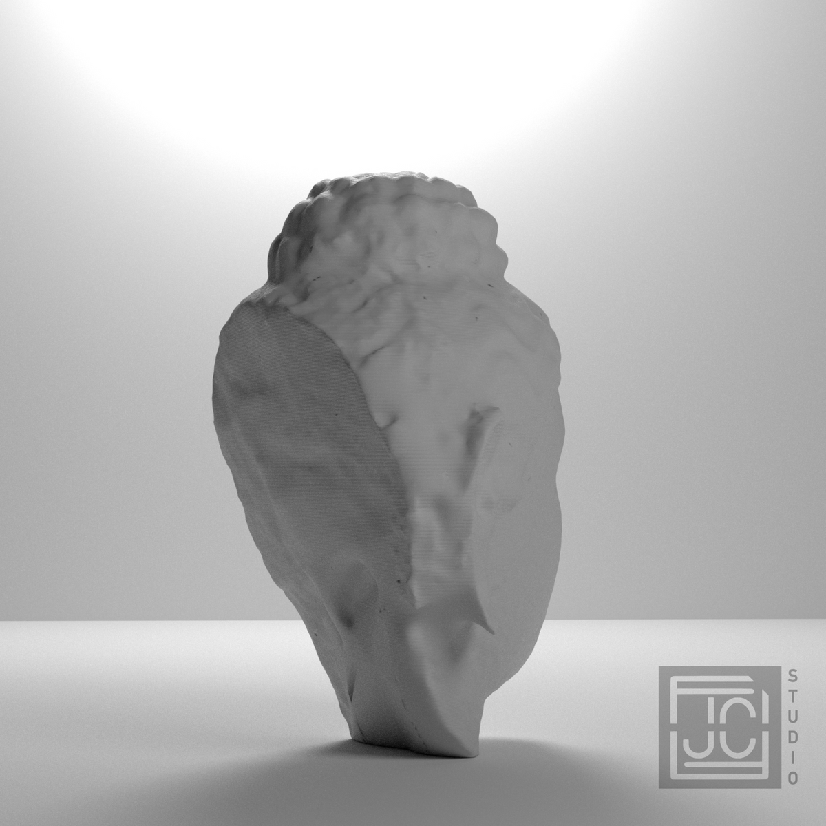 Gandhara Buddha Portrait Head, studio 135 degree view
