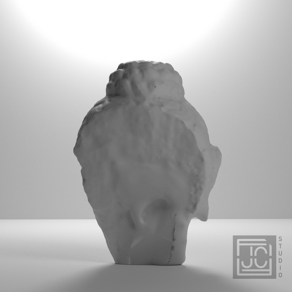 Gandhara Buddha Portrait Head, studio 180 degree view