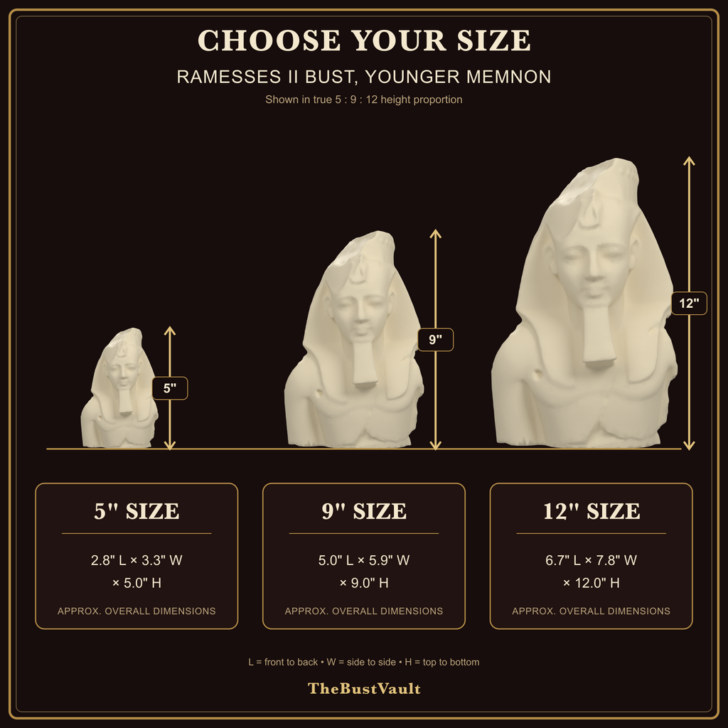 Ramesses II Bust, Younger Memnon, dimensions at 5, 9, and 12 inches