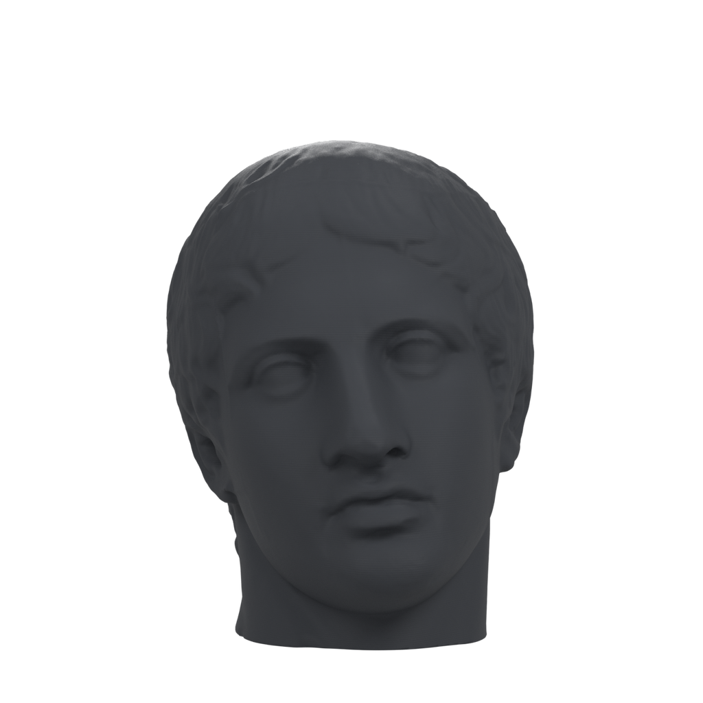 Doryphoros Portrait Head, Charcoal Black finish