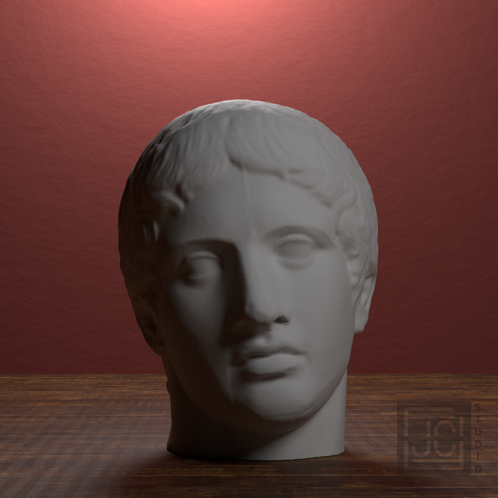 Doryphoros Portrait Head, library 0 degree view