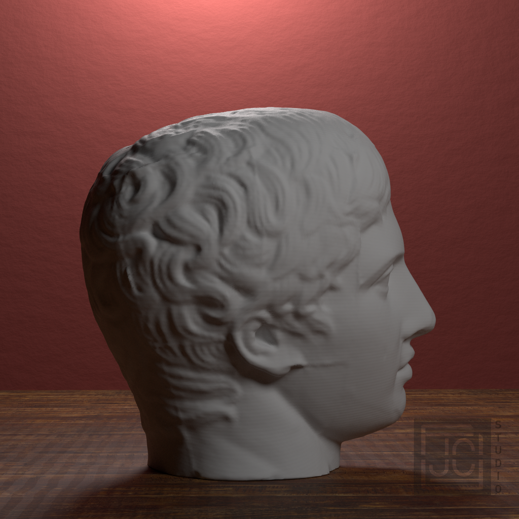 Doryphoros Portrait Head, library 90 degree view