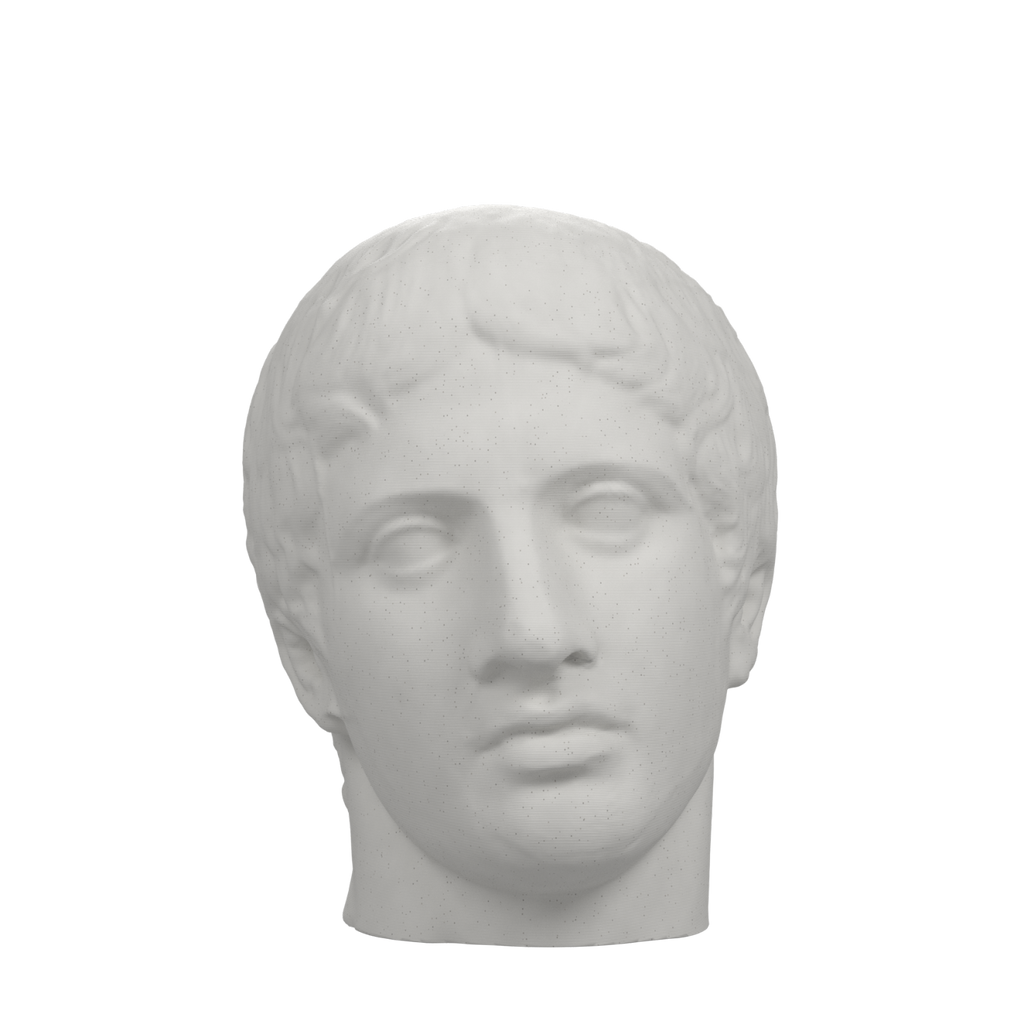 Doryphoros Portrait Head, Marble Stone finish
