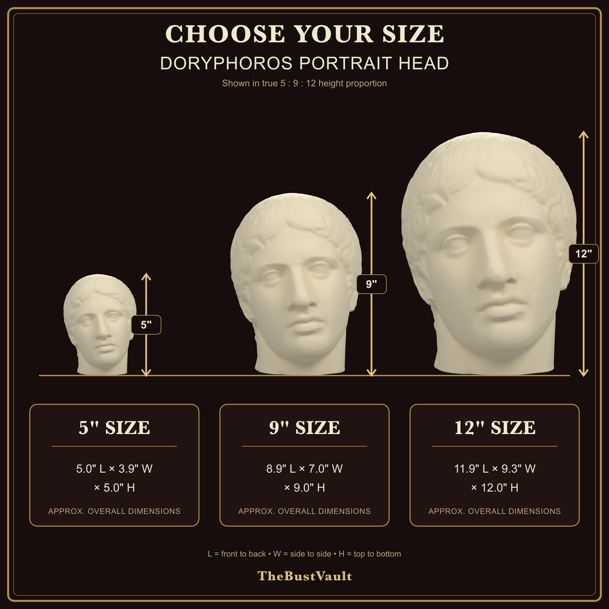 Doryphoros Portrait Head, dimensions at 5, 9, and 12 inches