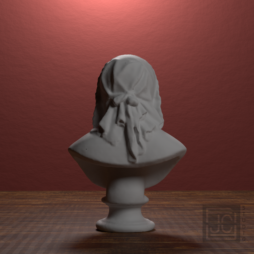 Fredrika Bremer Bust after Carl Gustaf Qvarnström, library 180 degree view