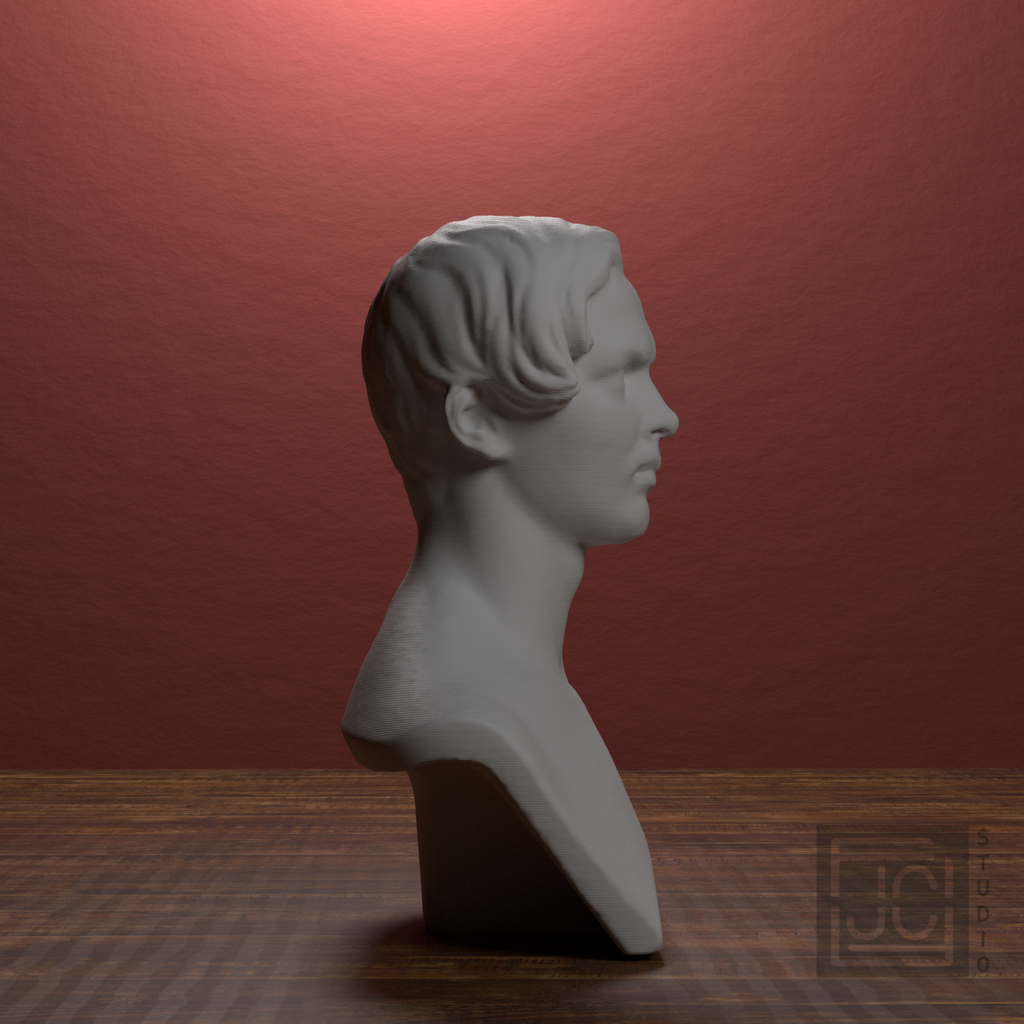 Count Kazimierz Potulicki Bust, library 90 degree view