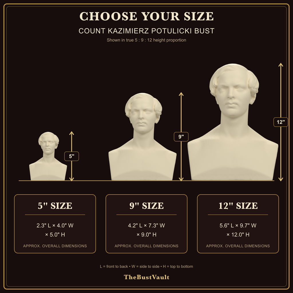 Count Kazimierz Potulicki Bust, dimensions at 5, 9, and 12 inches