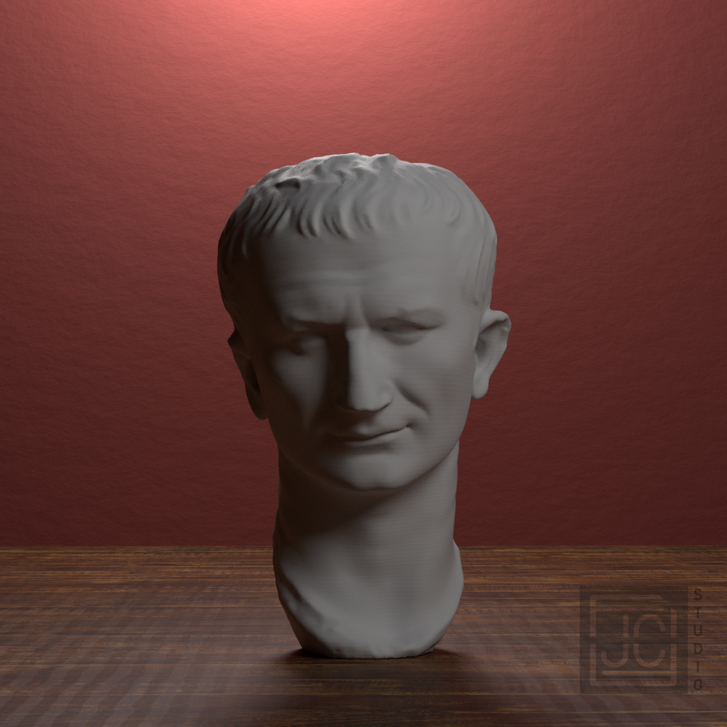 Vespasian Portrait Head after the Cleveland Museum of Art, library 0 degree view