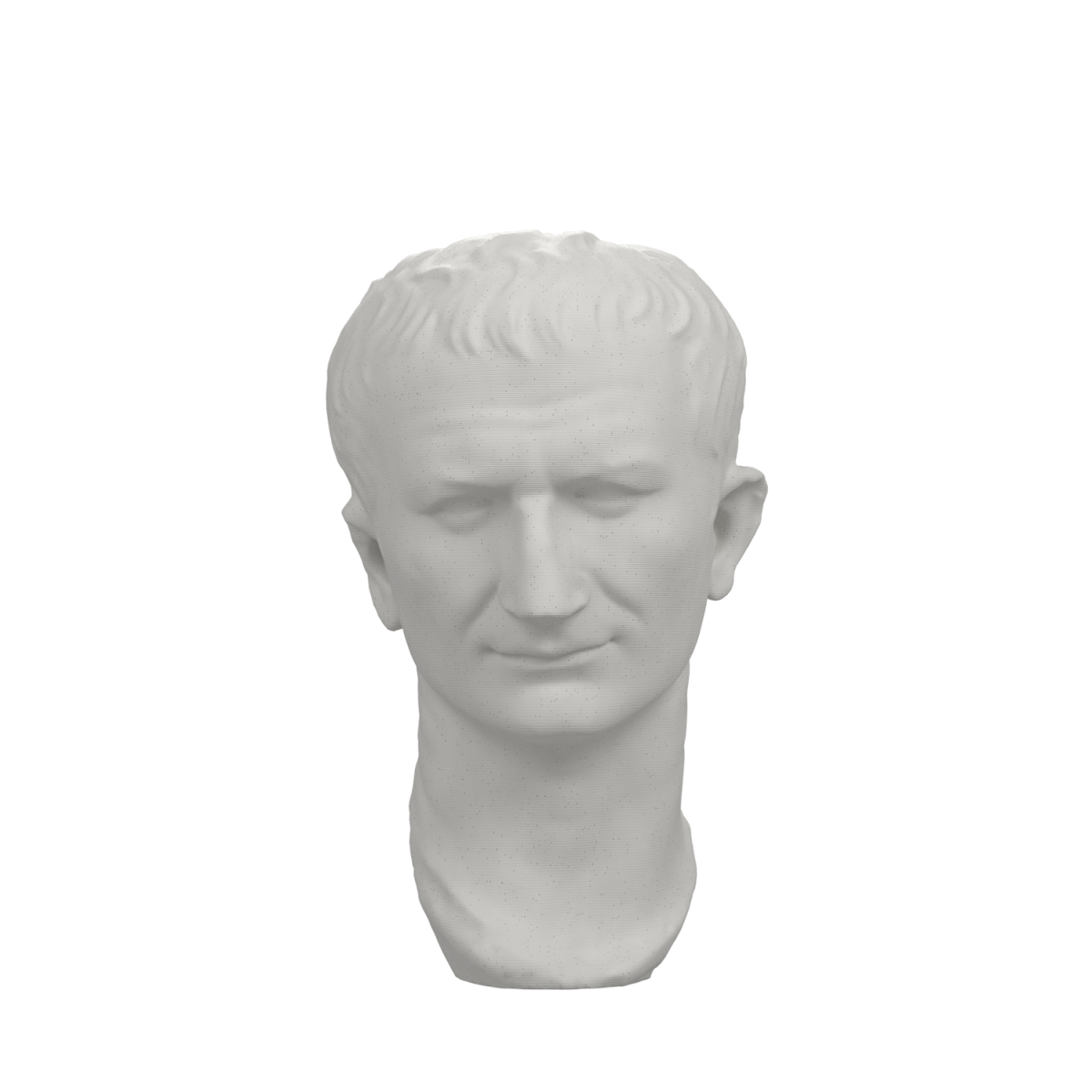 Vespasian Portrait Head after the Cleveland Museum of Art, Marble Stone finish