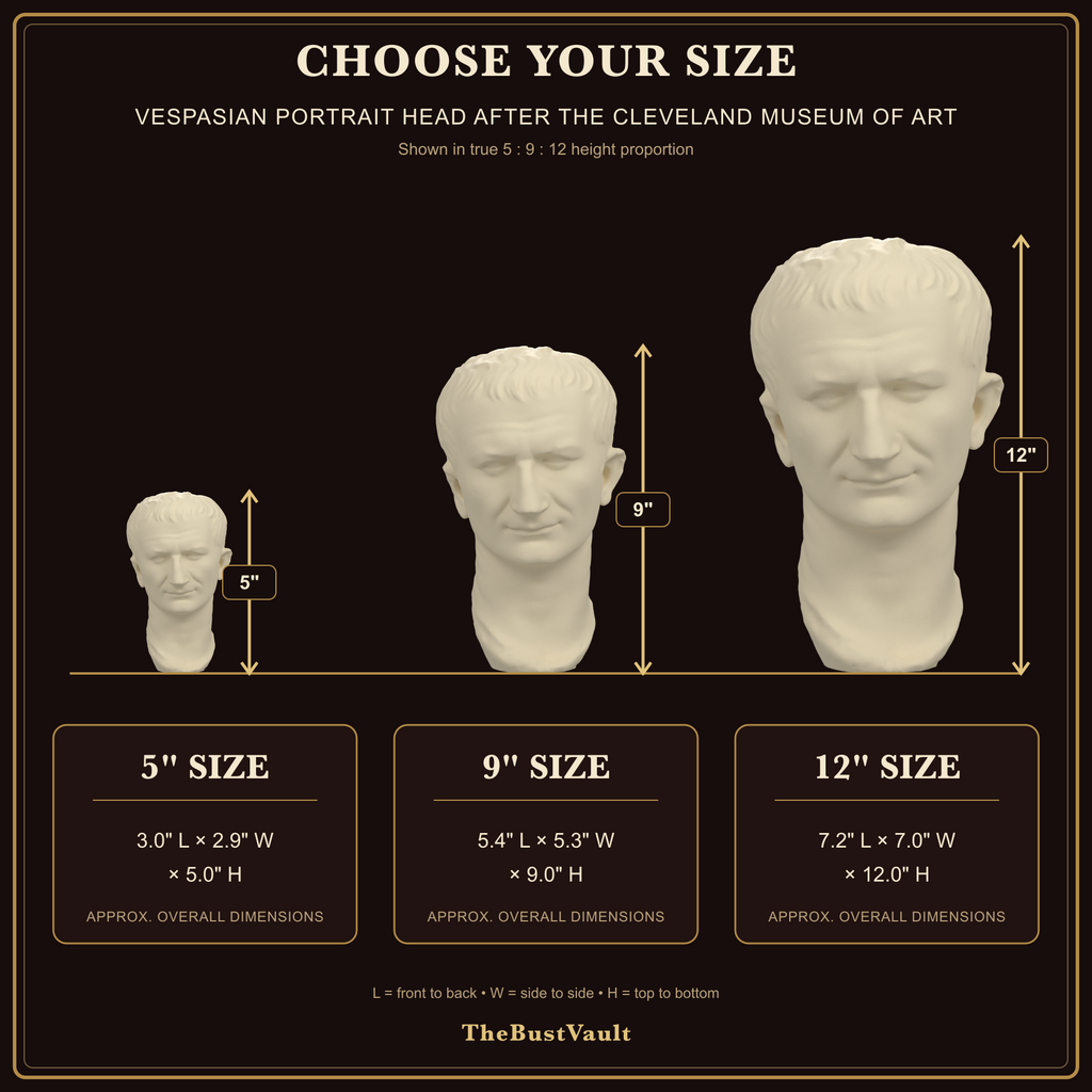 Vespasian Portrait Head after the Cleveland Museum of Art, dimensions at 5, 9, and 12 inches