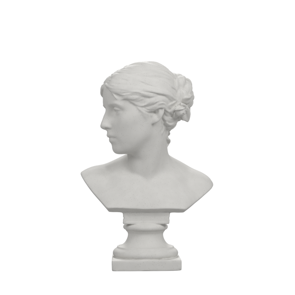 Agathe Naumann Bust, Marble Stone finish