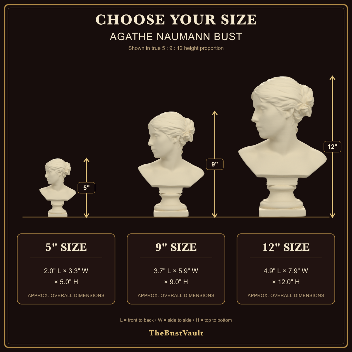 Agathe Naumann Bust, dimensions at 5, 9, and 12 inches