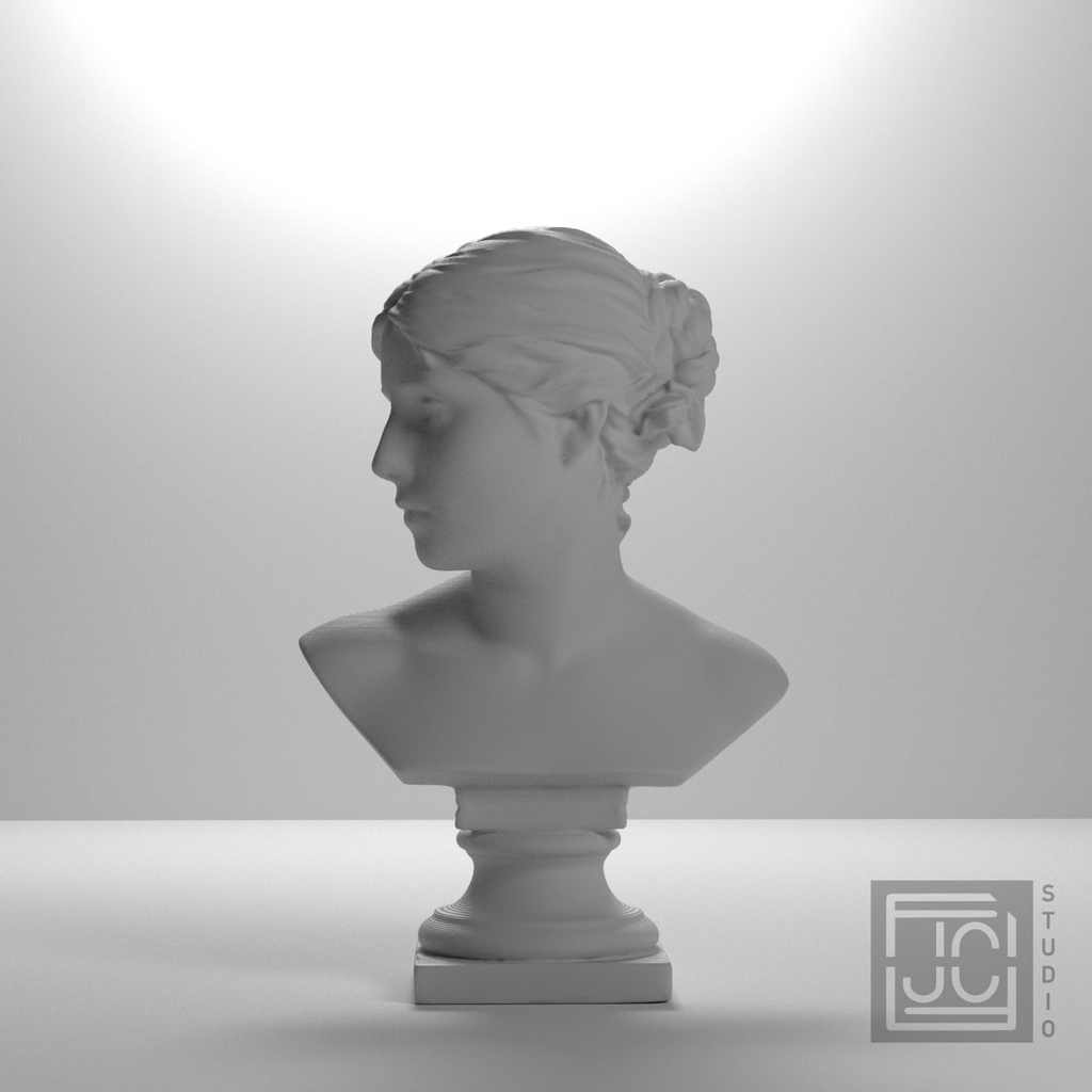 Agathe Naumann Bust, studio 0 degree view