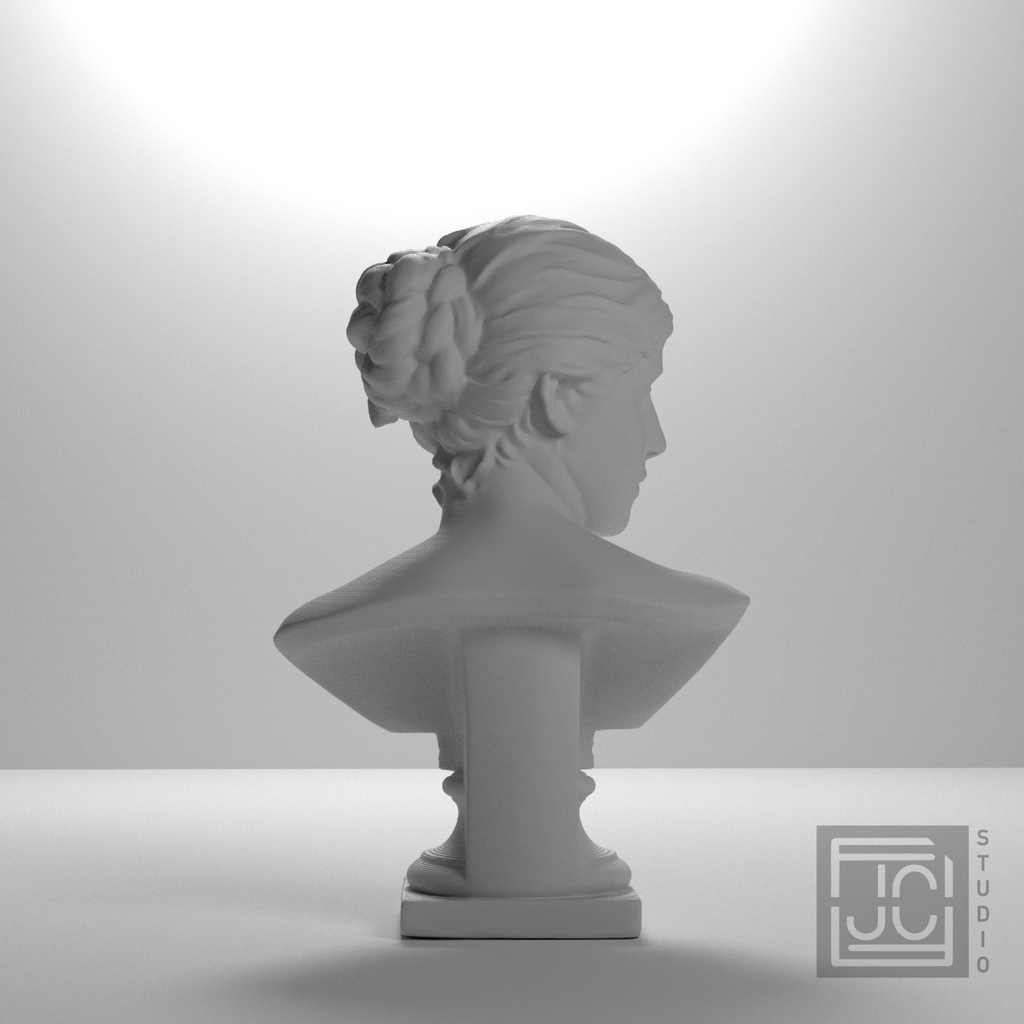 Agathe Naumann Bust, studio 180 degree view