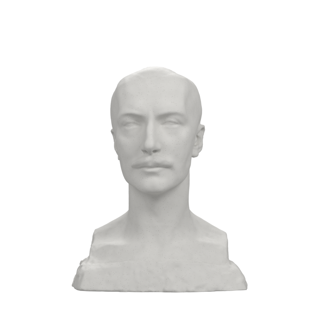 Franciszek Xawery Puslowski Bust, Marble Stone finish
