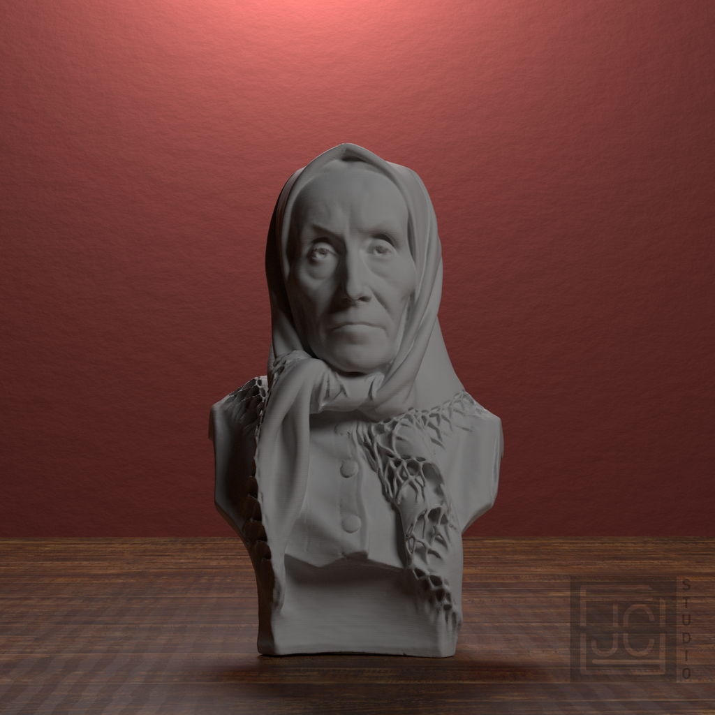 Teresa Gasienica Brzega Bust, library 0 degree view