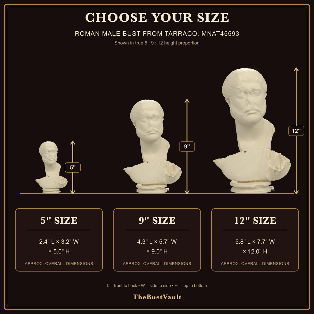 Roman Male Bust from Tarraco, MNAT45593, dimensions at 5, 9, and 12 inches