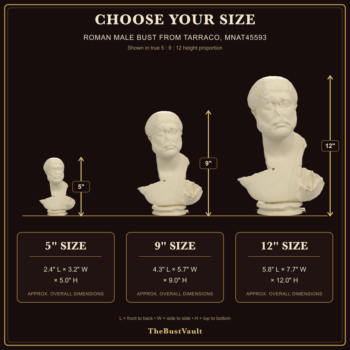 Roman Male Bust from Tarraco, MNAT45593, dimensions at 5, 9, and 12 inches
