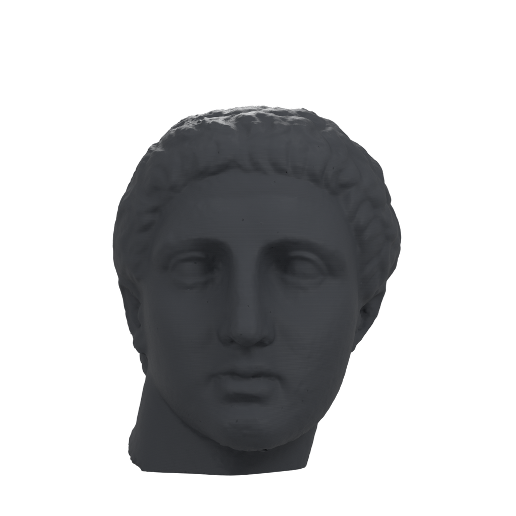 Early Roman Portrait Head of a Young Man, Marlay collection, Charcoal Black finish