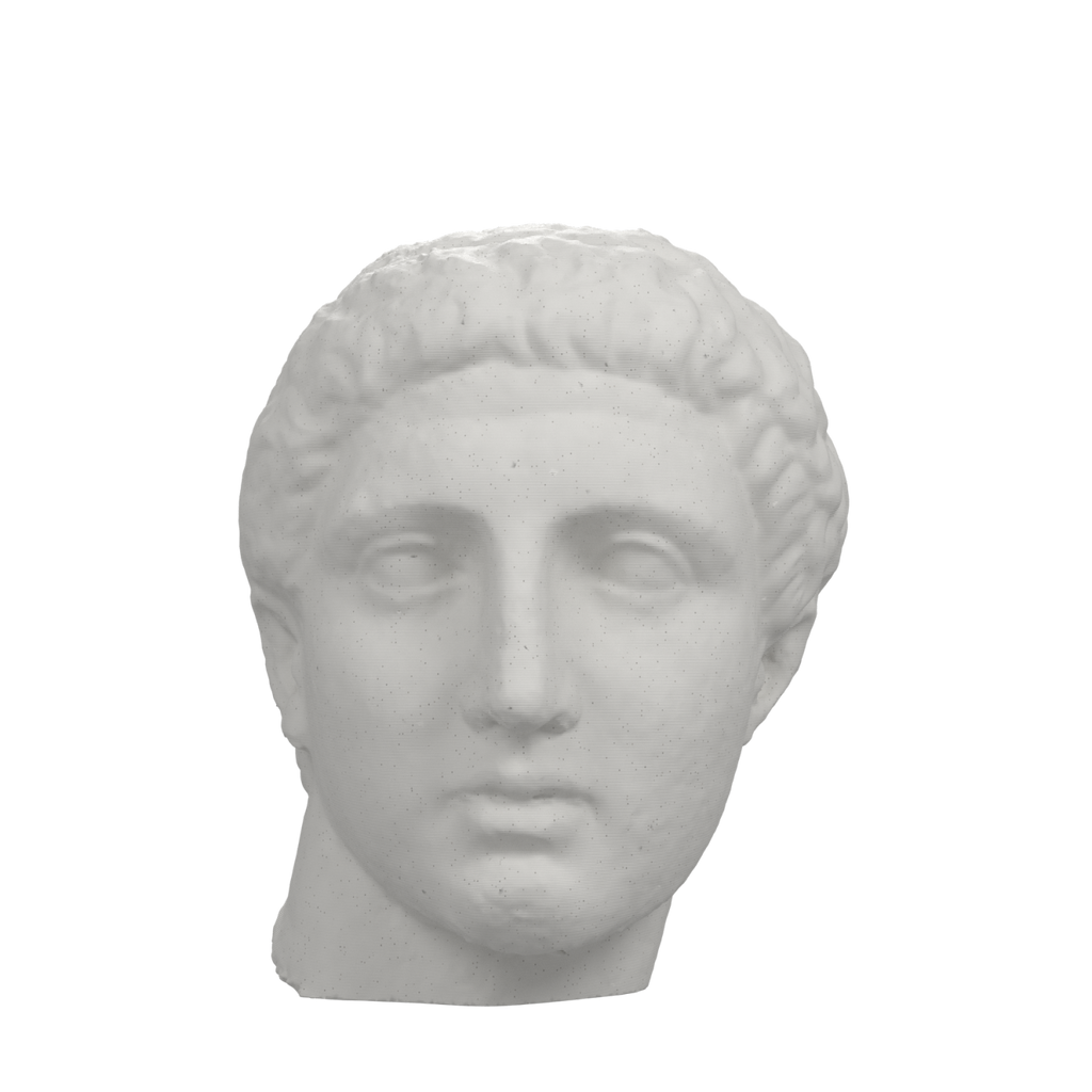Early Roman Portrait Head of a Young Man, Marlay collection, Marble Stone finish