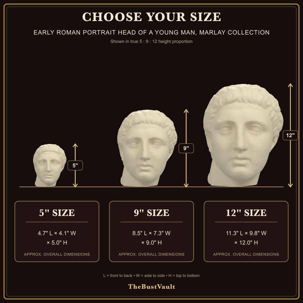 Early Roman Portrait Head of a Young Man, Marlay collection, dimensions at 5, 9, and 12 inches