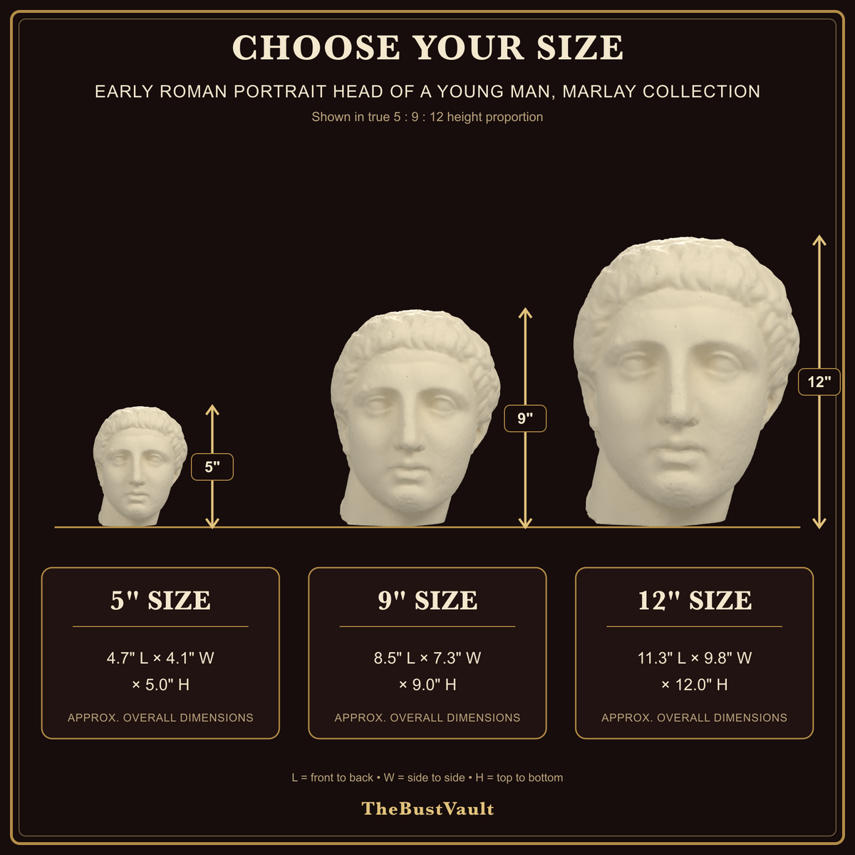 Early Roman Portrait Head of a Young Man, Marlay collection, dimensions at 5, 9, and 12 inches