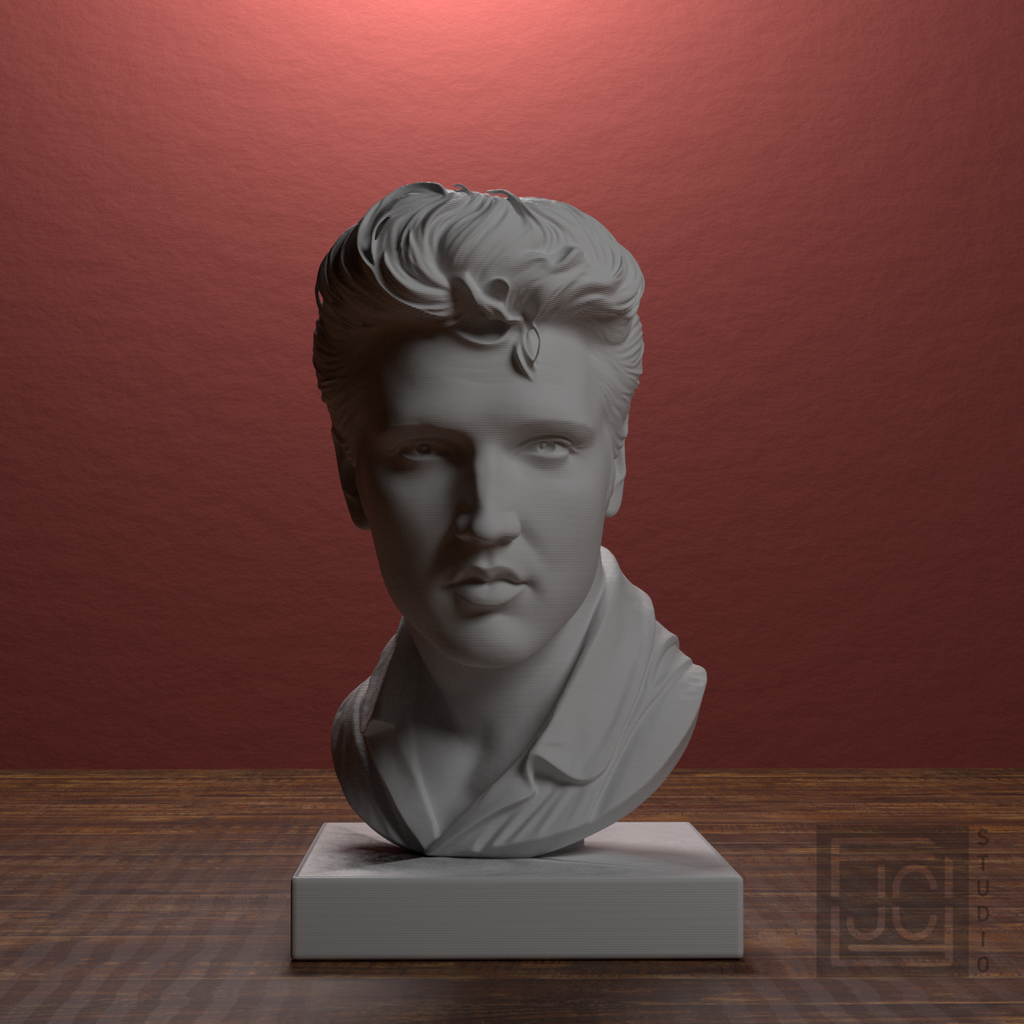 Elvis Presley Bust, library 0 degree view
