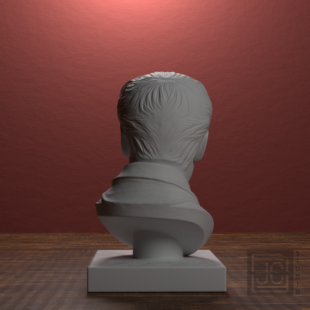Elvis Presley Bust, library 180 degree view