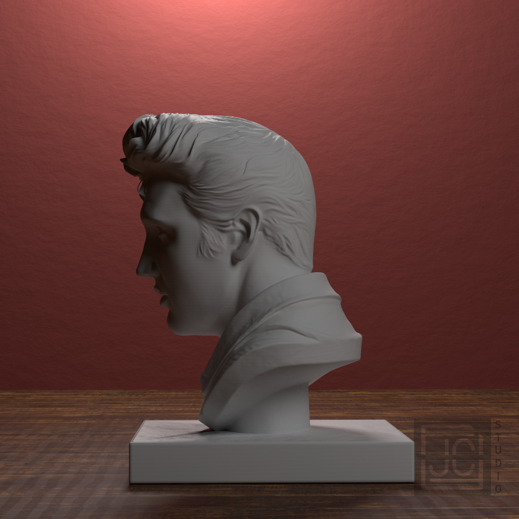 Elvis Presley Bust, library 270 degree view